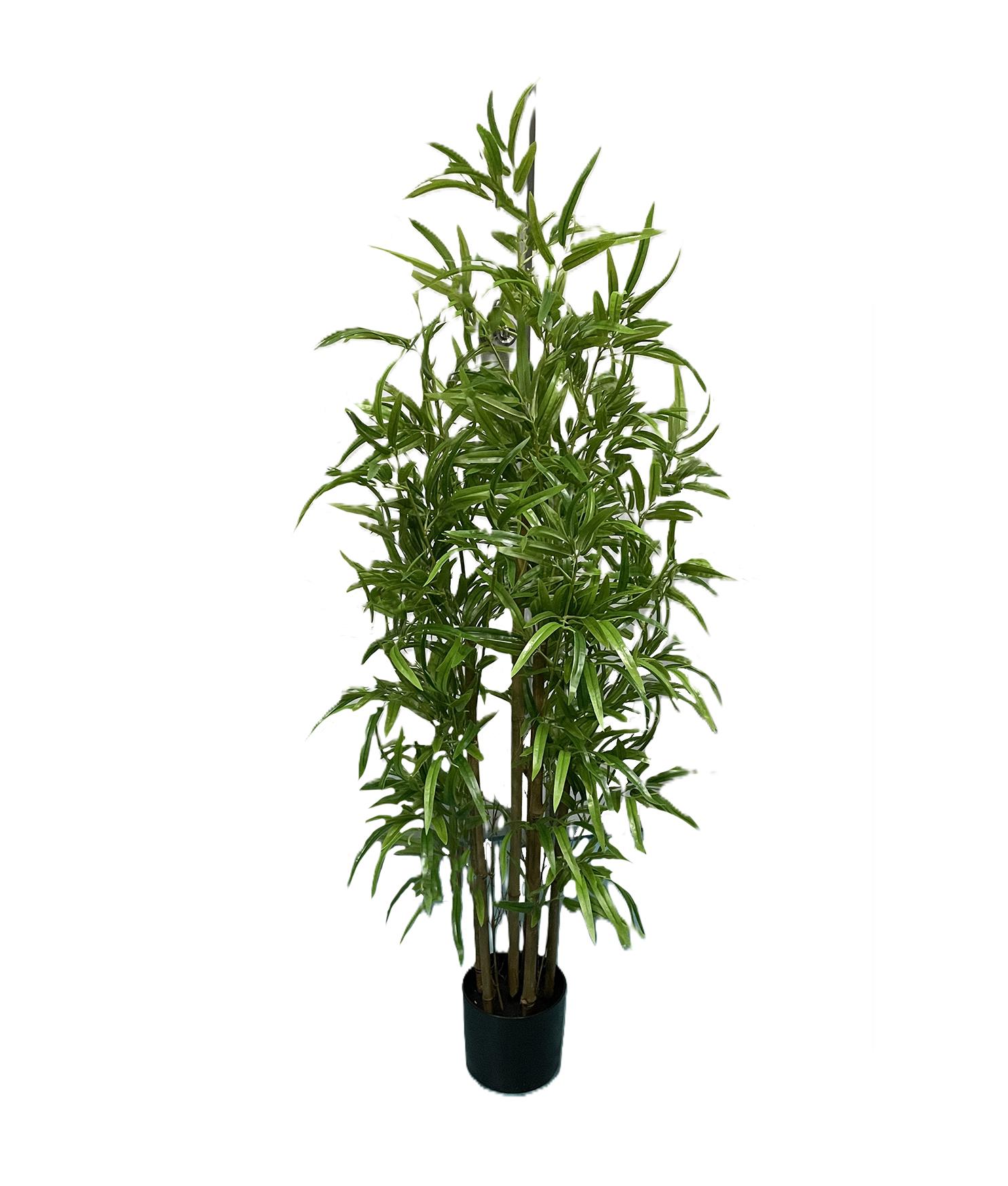 BAMBOU 6 TRONCS POT PLASTIQUE NOIR H.120CM
