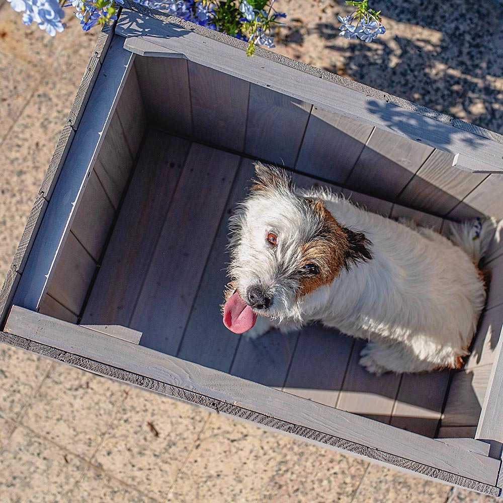 Niche pour extérieur, maison pour chiens argo 60 en bois fsc avec vernis atoxique, résistant aux u.v.