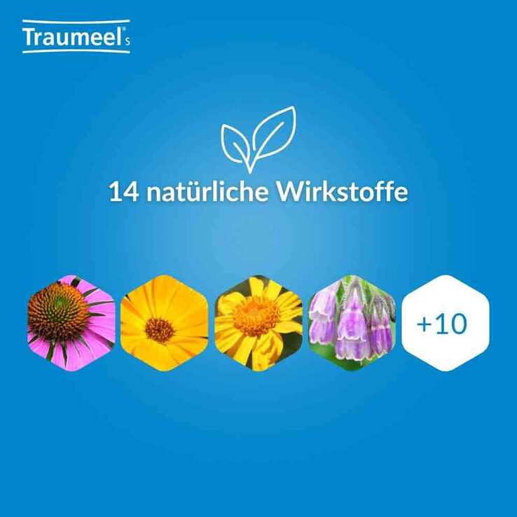Traumeel S Creme, 100 g