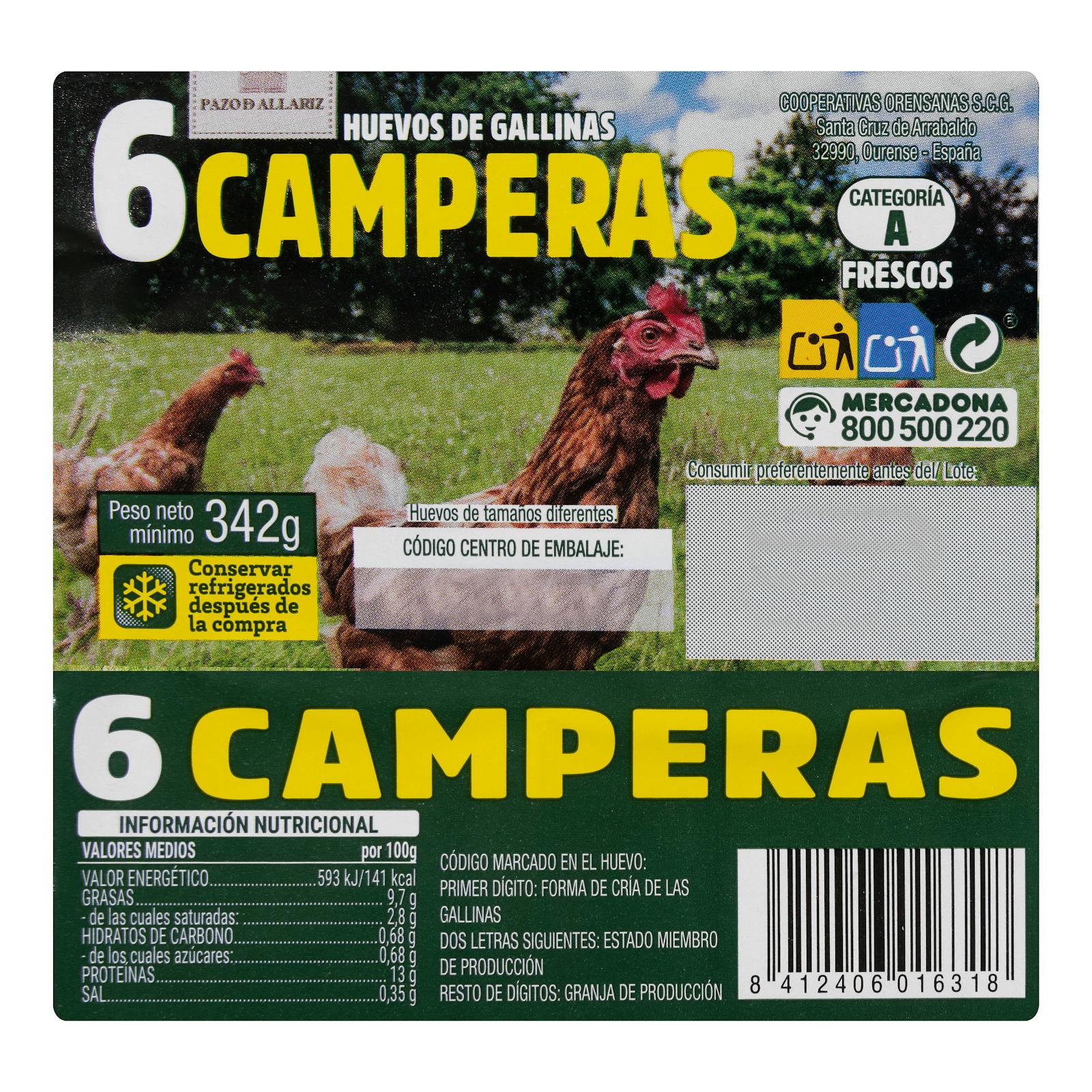 Œufs de poules élevées en plein air
