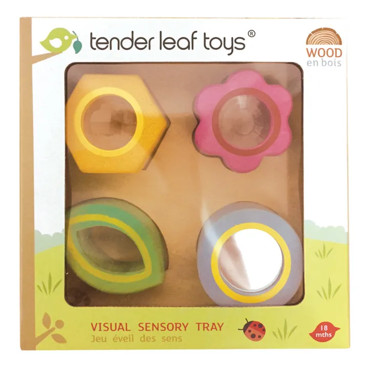 Tender Leaf Toys Formes visuelles en bois
