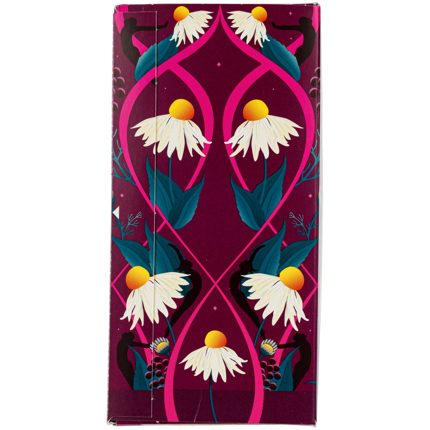 Pukka Bio Tee Night Time Berry 20 Beutel