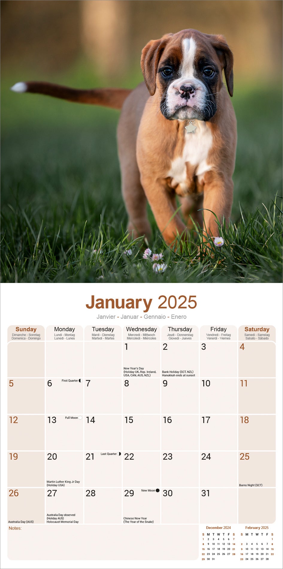 Plenty Gifts kalender boxers 30 x 30 x 0,5 cm