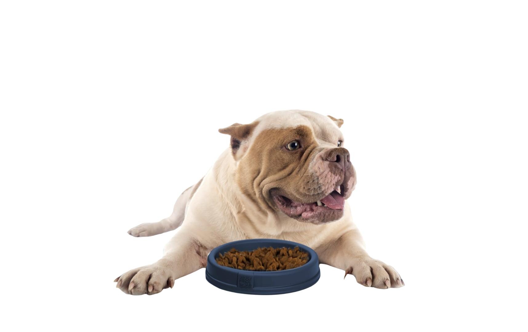Gumminapf Pet Bowl Pink, ø25 cmSlow Feeder für Hunde und Katzen