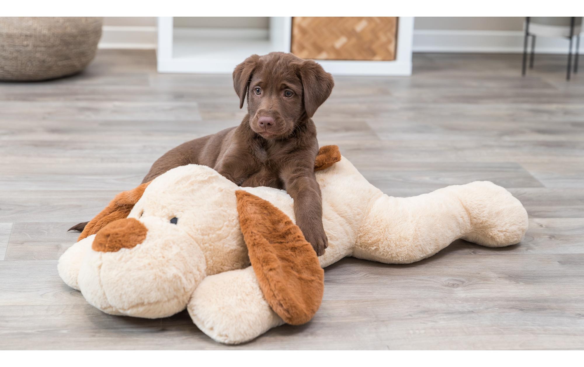 Ankuschelhund Benny SOFT Edition, 75 cmKuscheltier für Hundewelpen