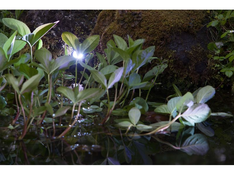 HEISSNER SMART LIGHT Spot, 4W Warmweiss, Metall LED-Spot
