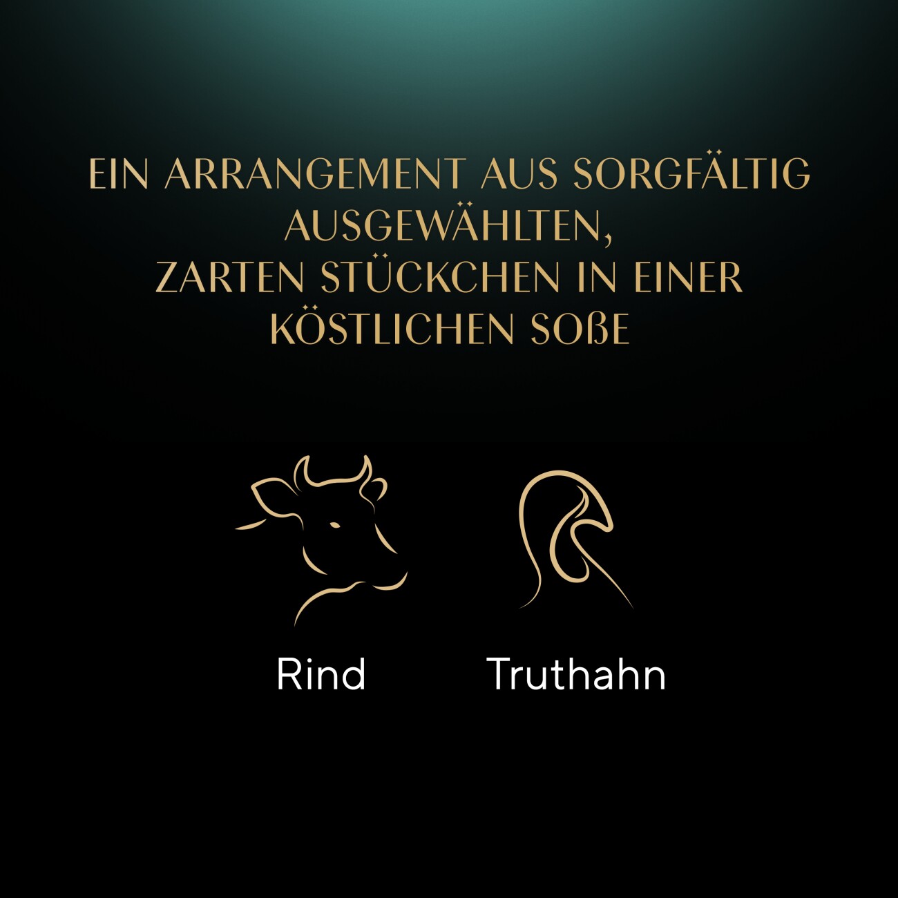 Sheba Selection in Sauce 22x85 g Rind und Truthahn
