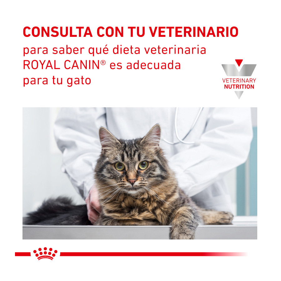 Ração Royal Canin Veterinary Urinary para gatos