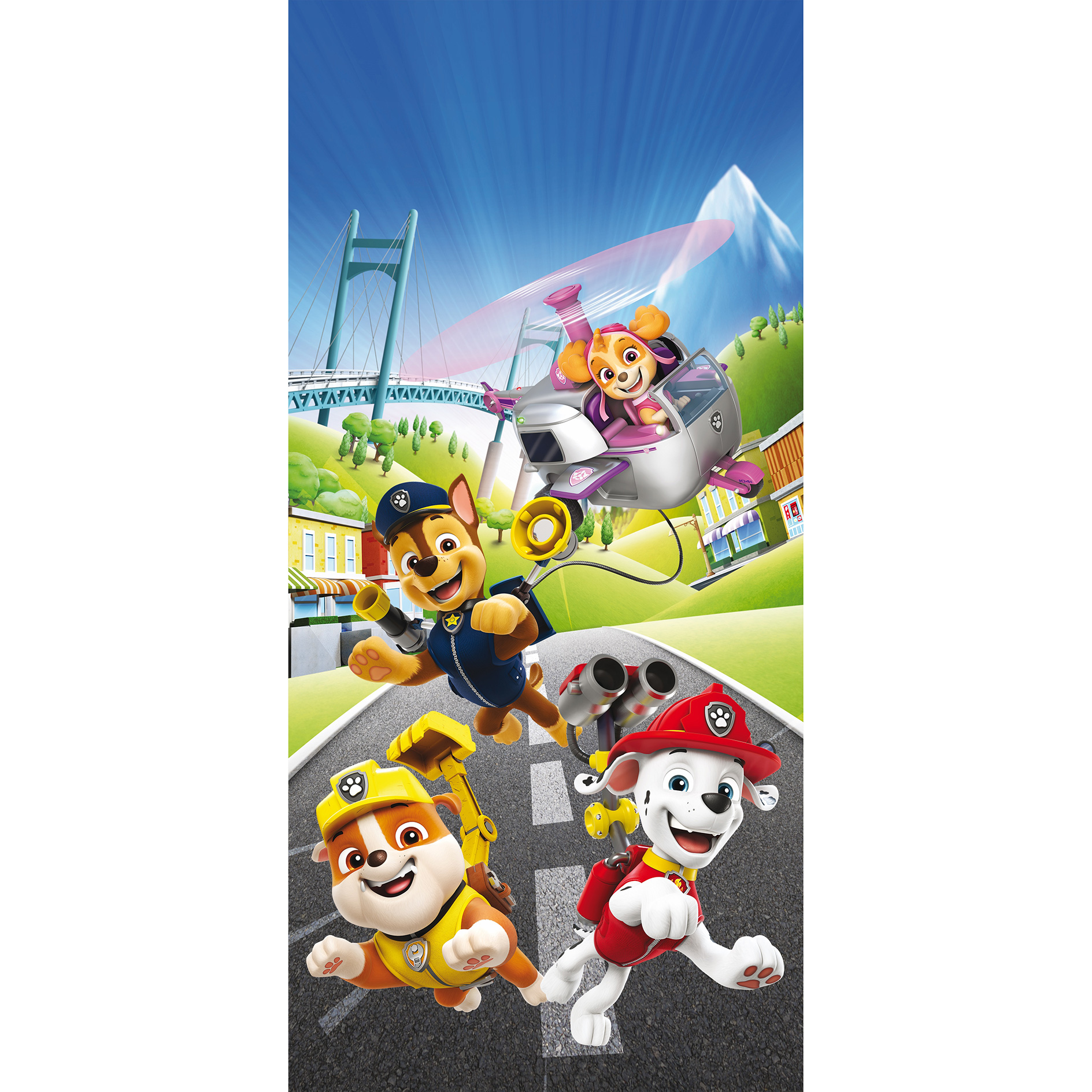 Keilrahmenbild PAW PATROL - 33x70 cm
