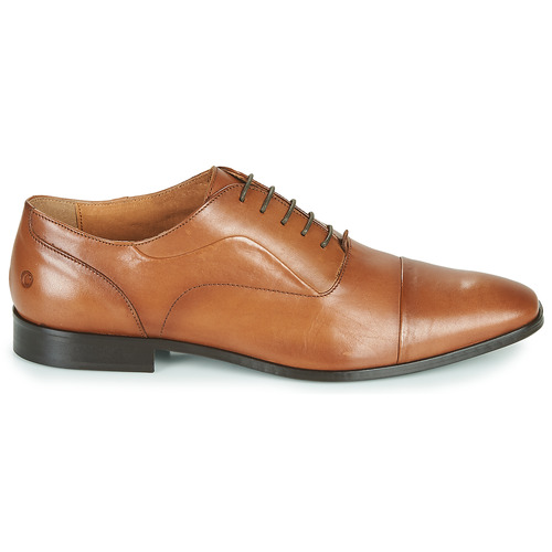 Carlington - NIMIO - Camel