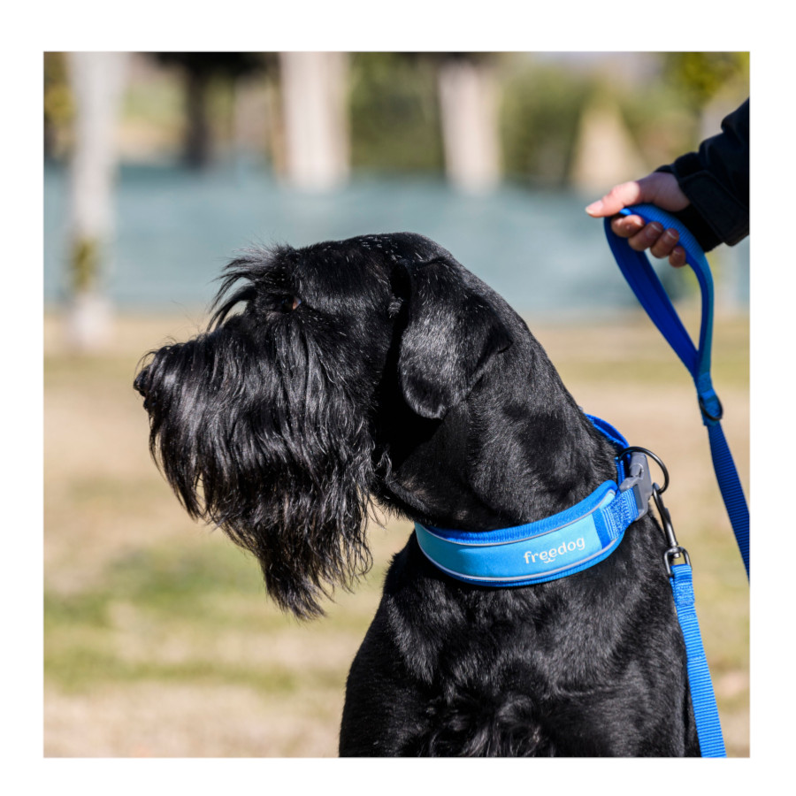 Coleira refrescante Freedog Cool Pro Tech Azul para cães