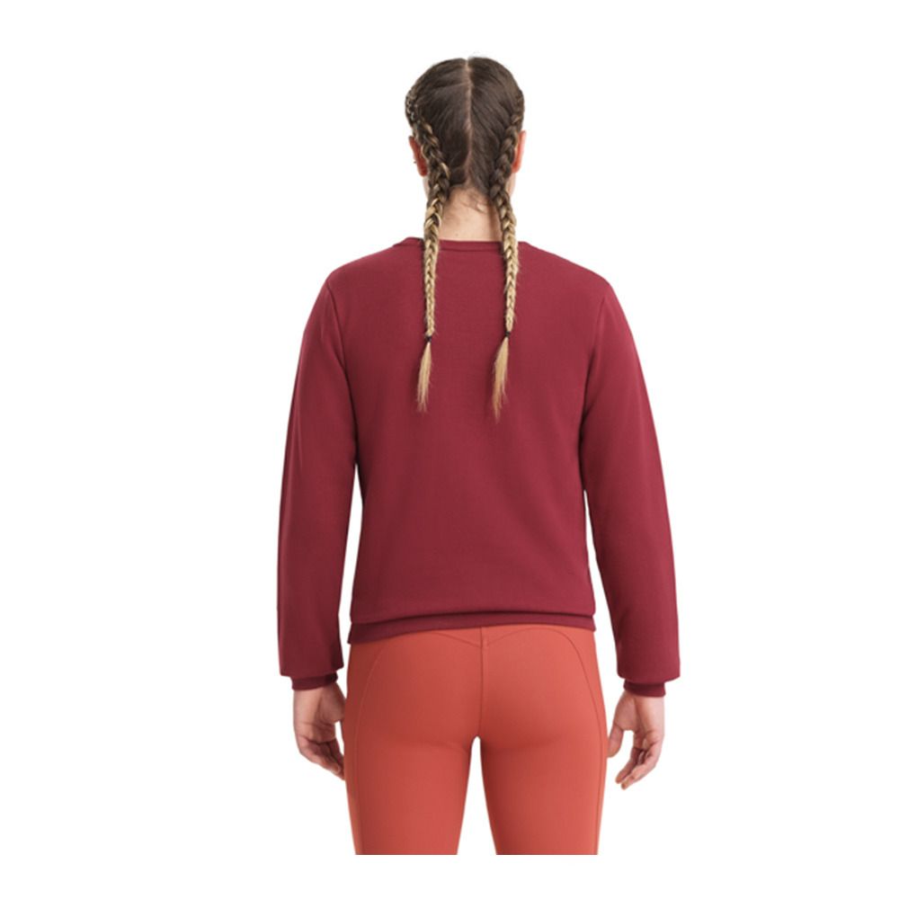 Horse Pilot TEAM SWEAT-SHIRT - Sweat Femme dark red
