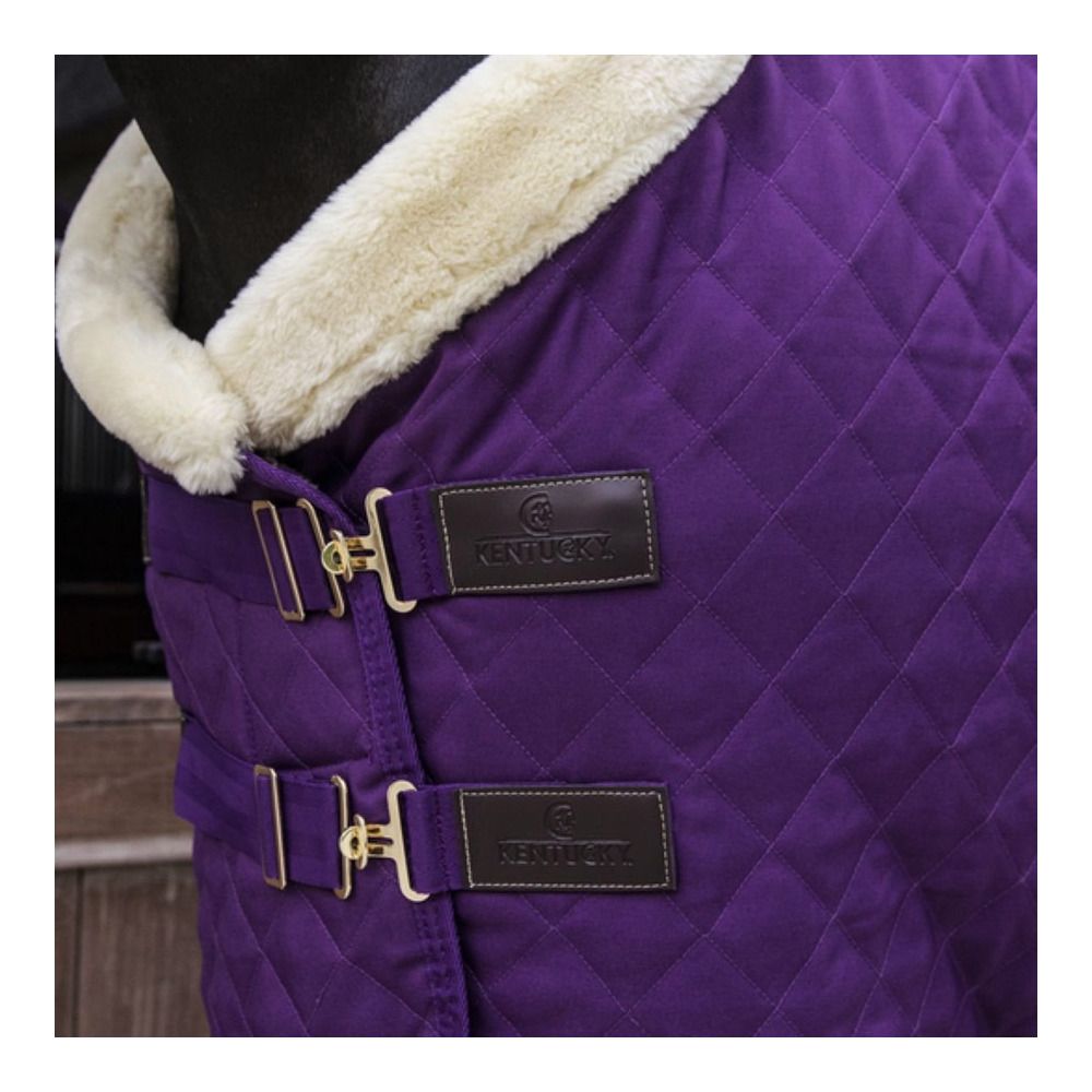 Kentucky SHOW 160G - Couverture de présentation royal purple