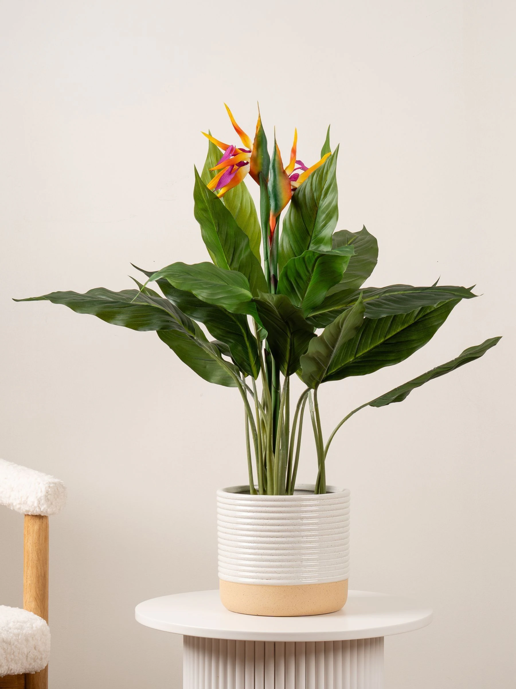 Scottish Everlastings Ltd Artificial Bird of Paradise Tree with Flower