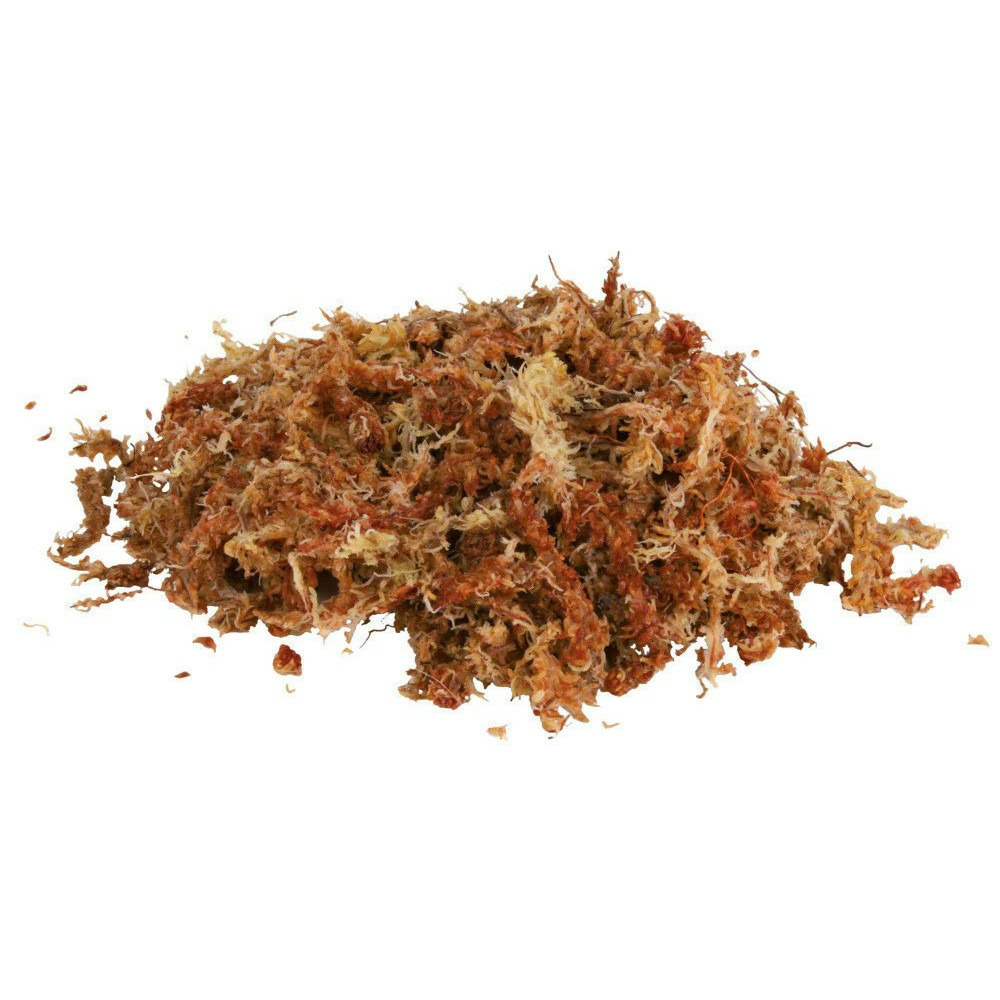Sphaigne mousse de shagnum 100 g 4.5 litres reptile