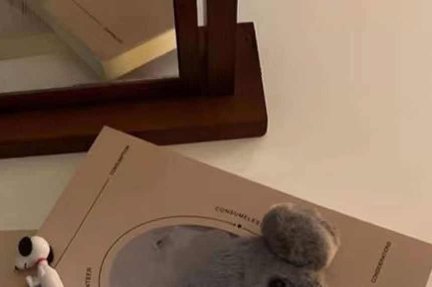 SeoulMall - Koala Mirror