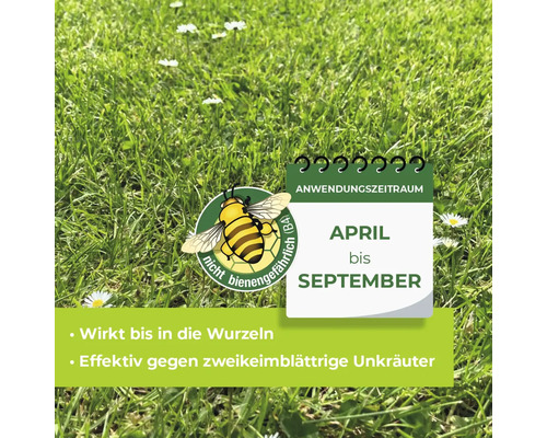 Onkruidverdelger voor gazons Protect Garden Loredo Quattro Concentraat 100 ml voor 100 m²