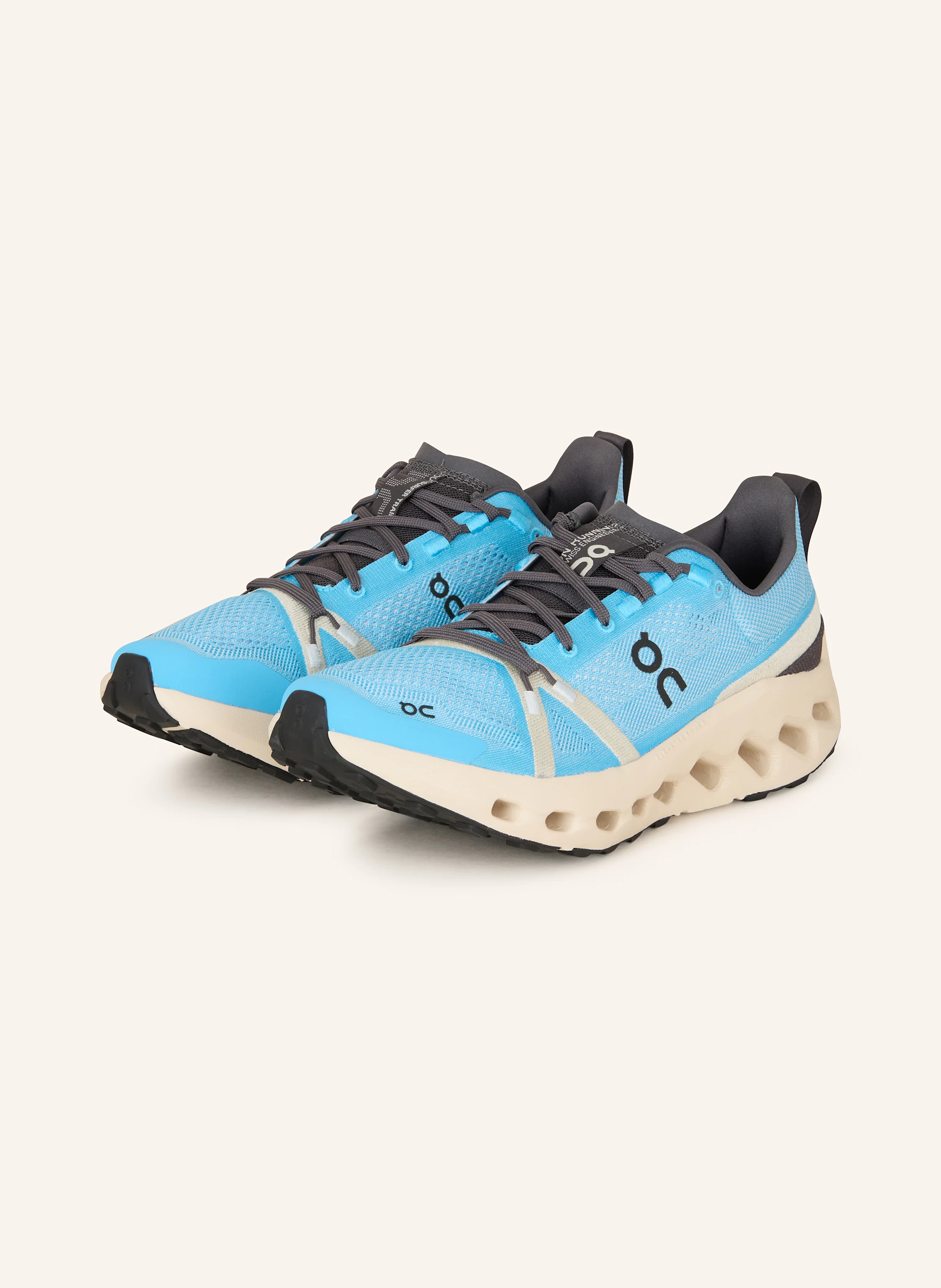 On Trailrunning-Schuhe CLOUDSURFER TRAIL