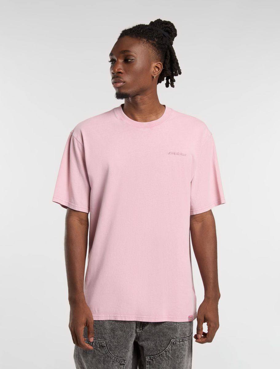 Dickies Plentywood SS Tee Ultimate Grey