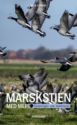 Marskstien - Ulla Conrad - Bog