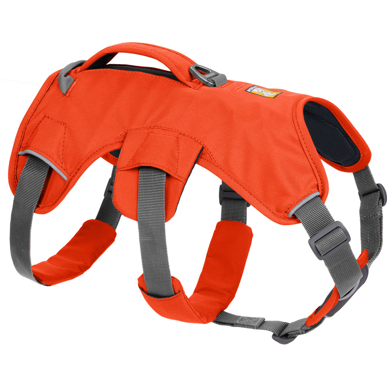 Ruffwear Web Master Hundegeschirr