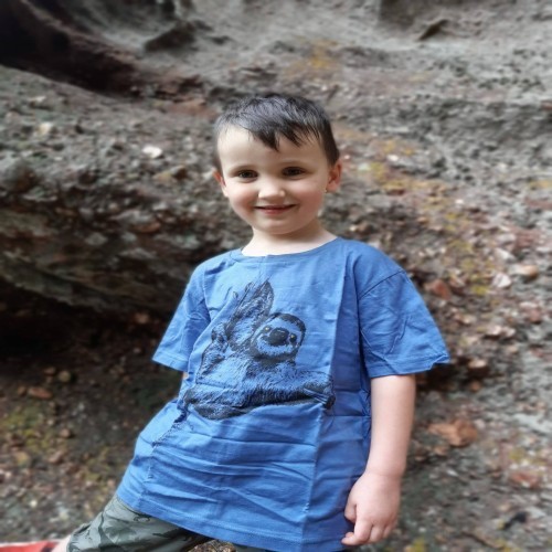 Camiseta preguiçosa para menino/menina, verde