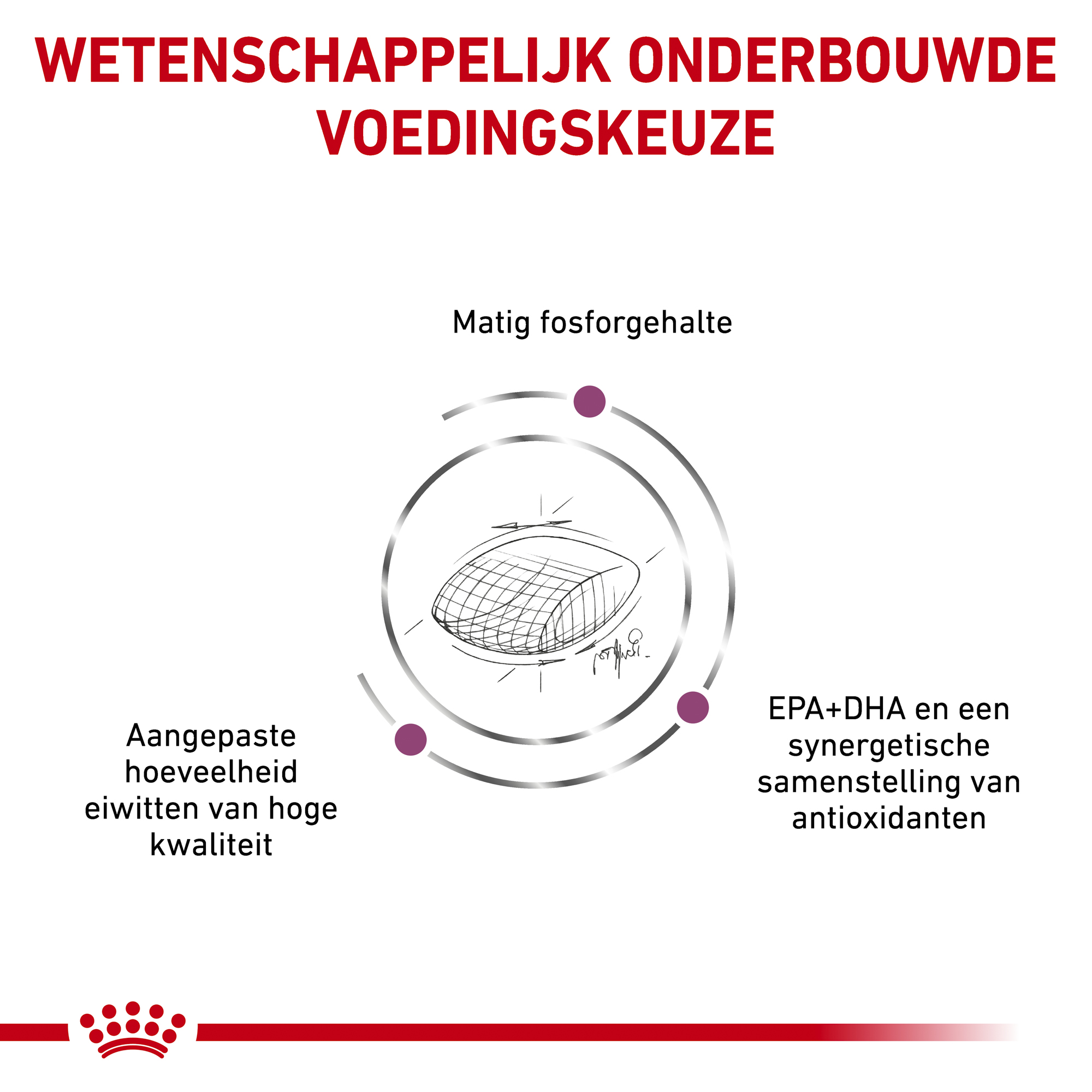 Royal Canin Early Renal Hond