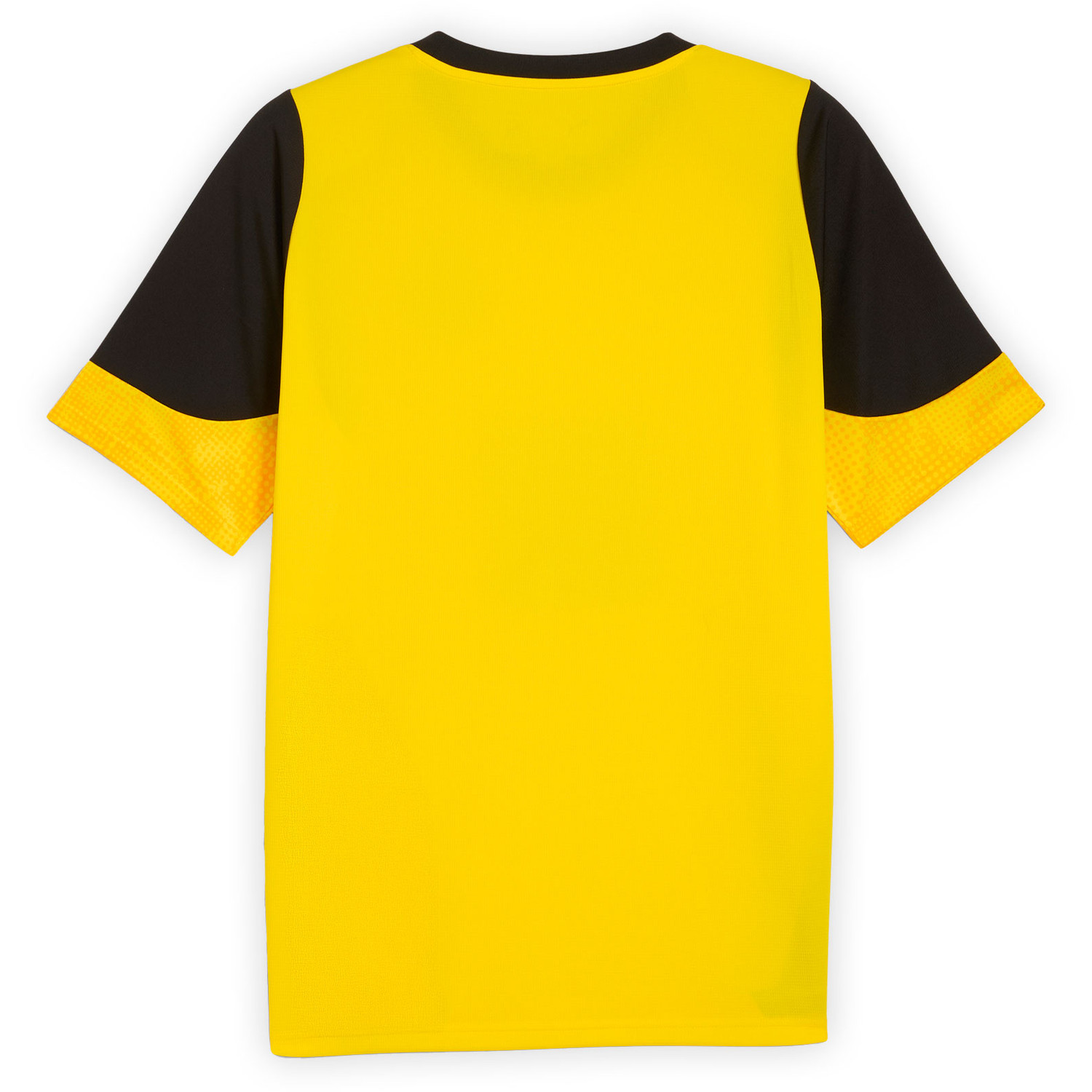 Puma Borussia Dortmund Trainingsset