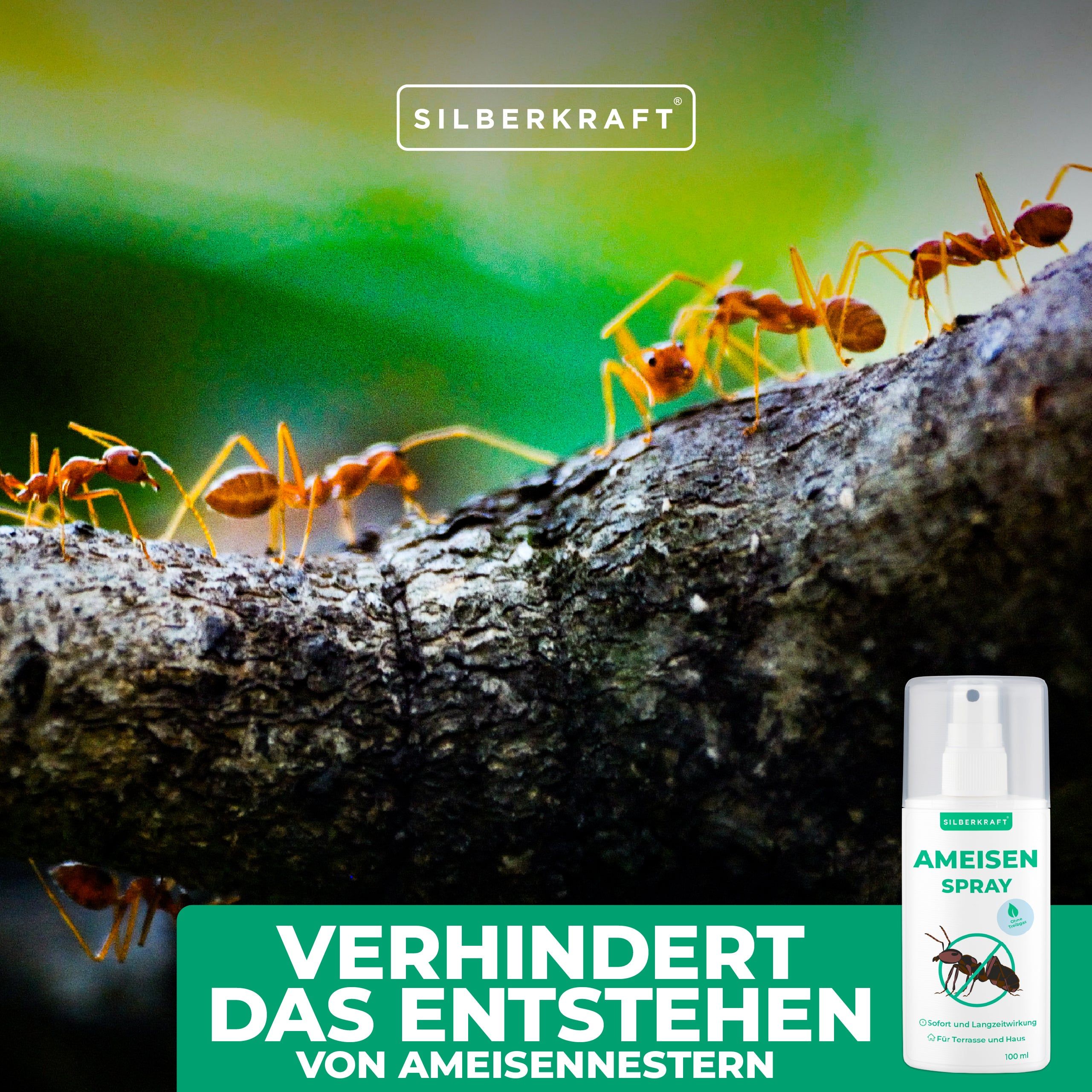 SILBERKRAFT Ameisenspray