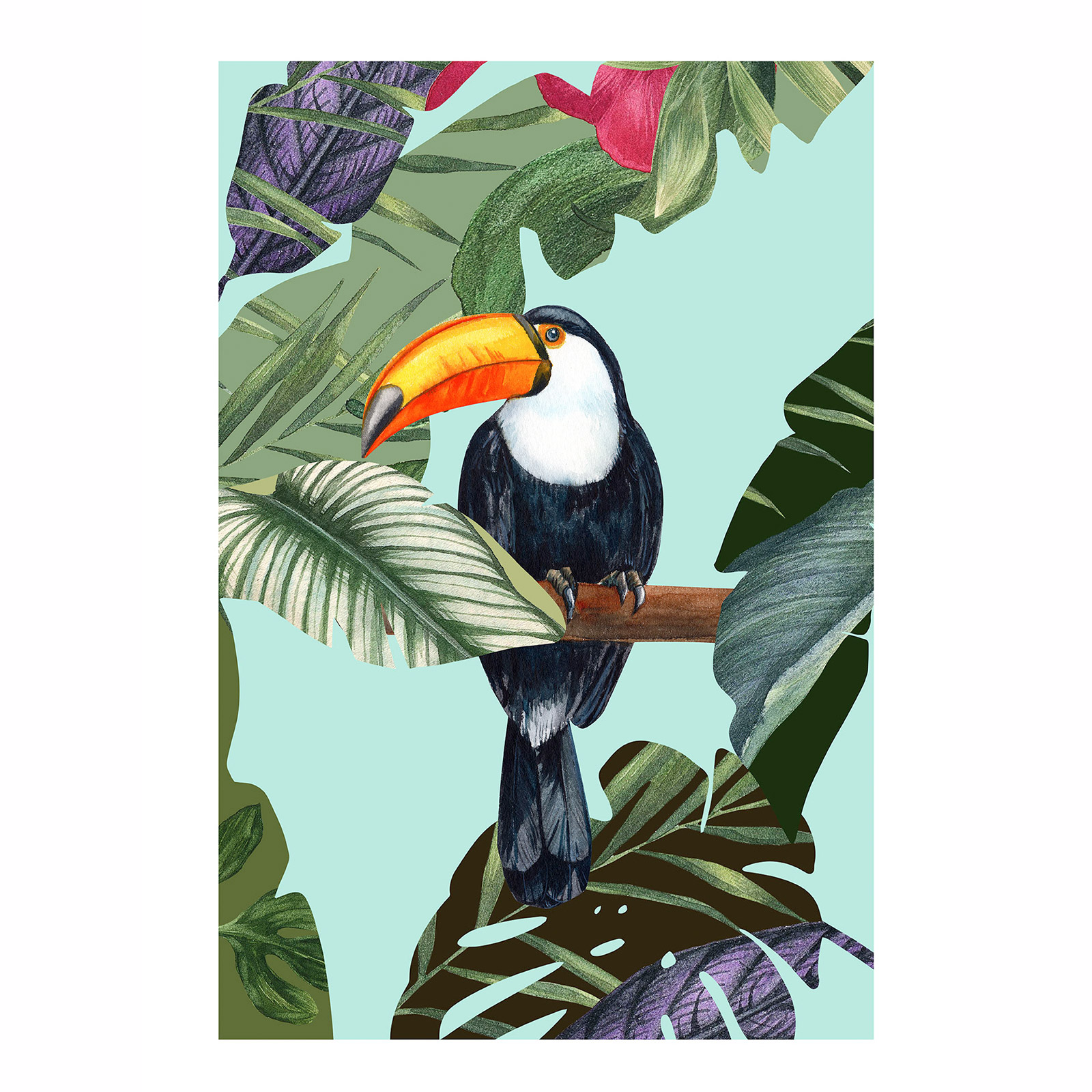 Wandbild TOCO TOUCAN - bunt - 50x70 cm