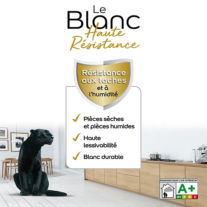 Peinture murale le Blanc Dulux Valentine haute résistance velours blanc 5L