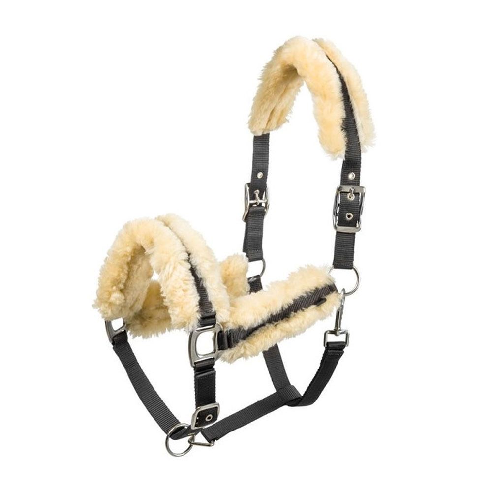 Equitheme TEDDY - Licol noir