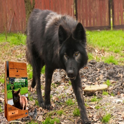 Wolves Legacy Puppy, sabor carne bovina, aves e salmão, para todas as raças.