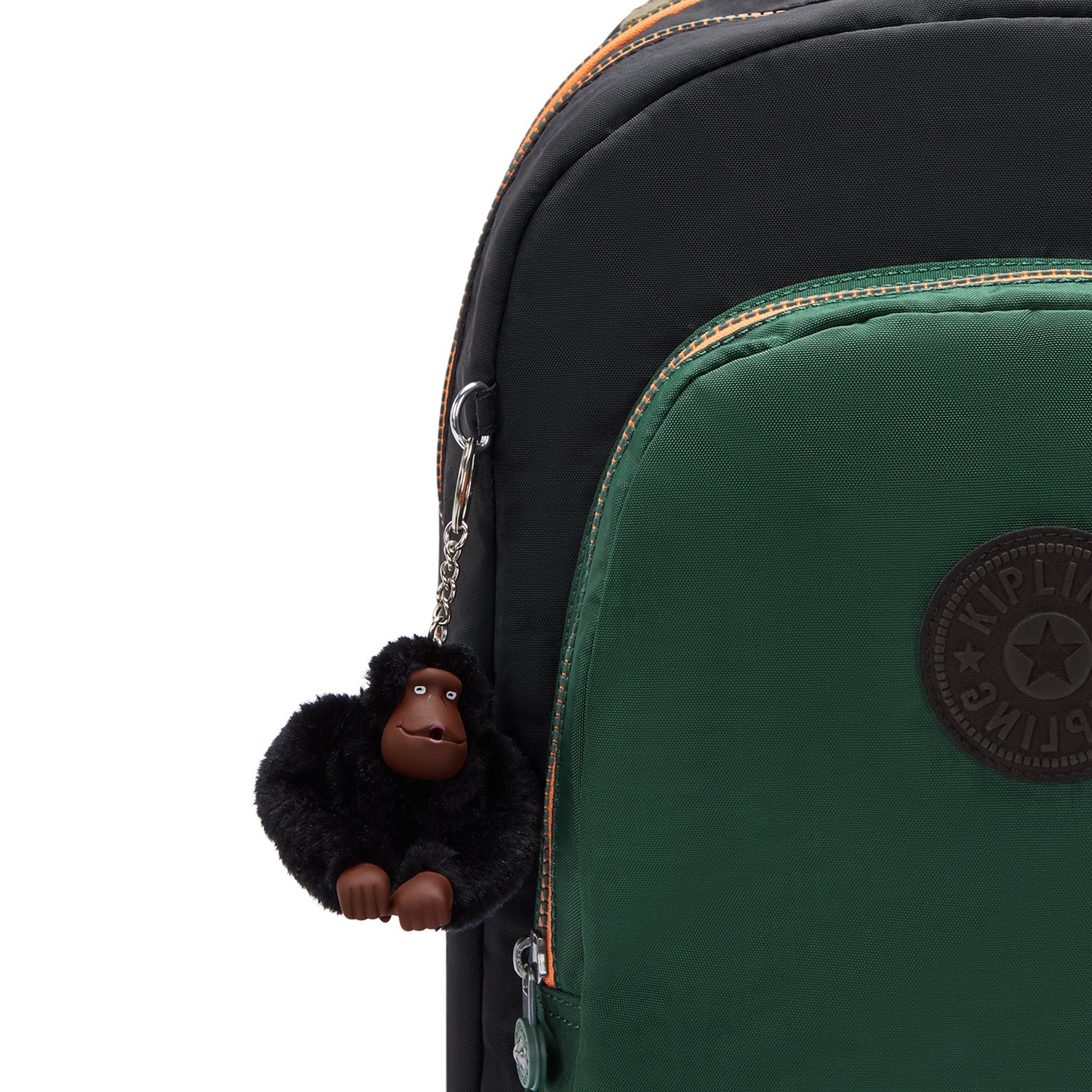 Kipling Class Room tree house bl