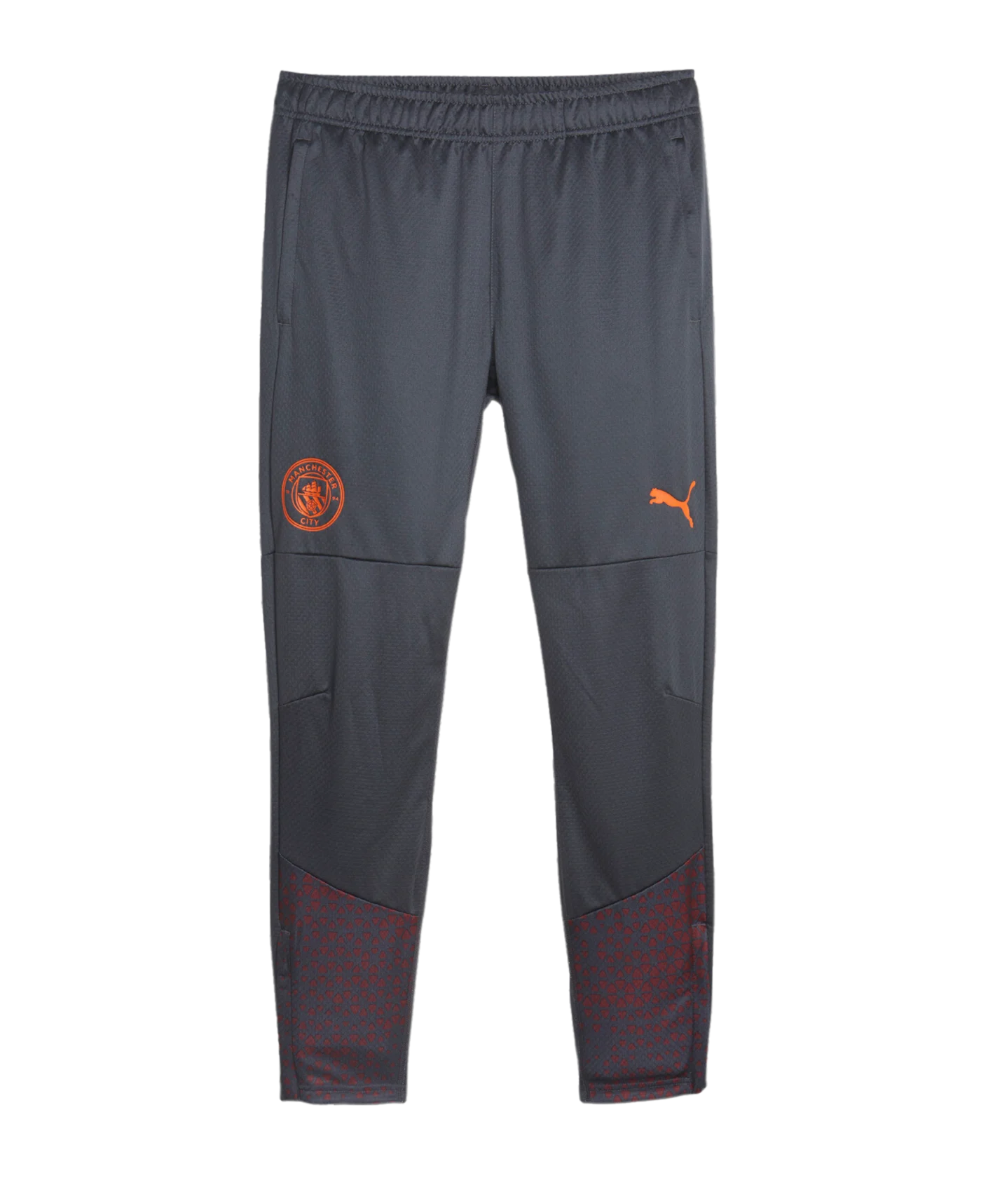 PUMA Manchester City Trainingshose Grau F16