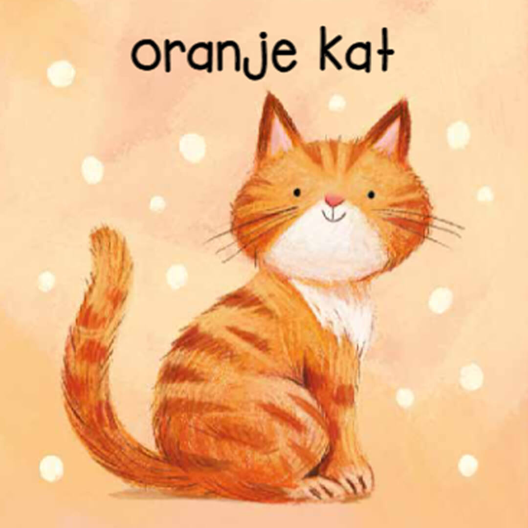 Uitgeverij rebo mijn eerste kleuren