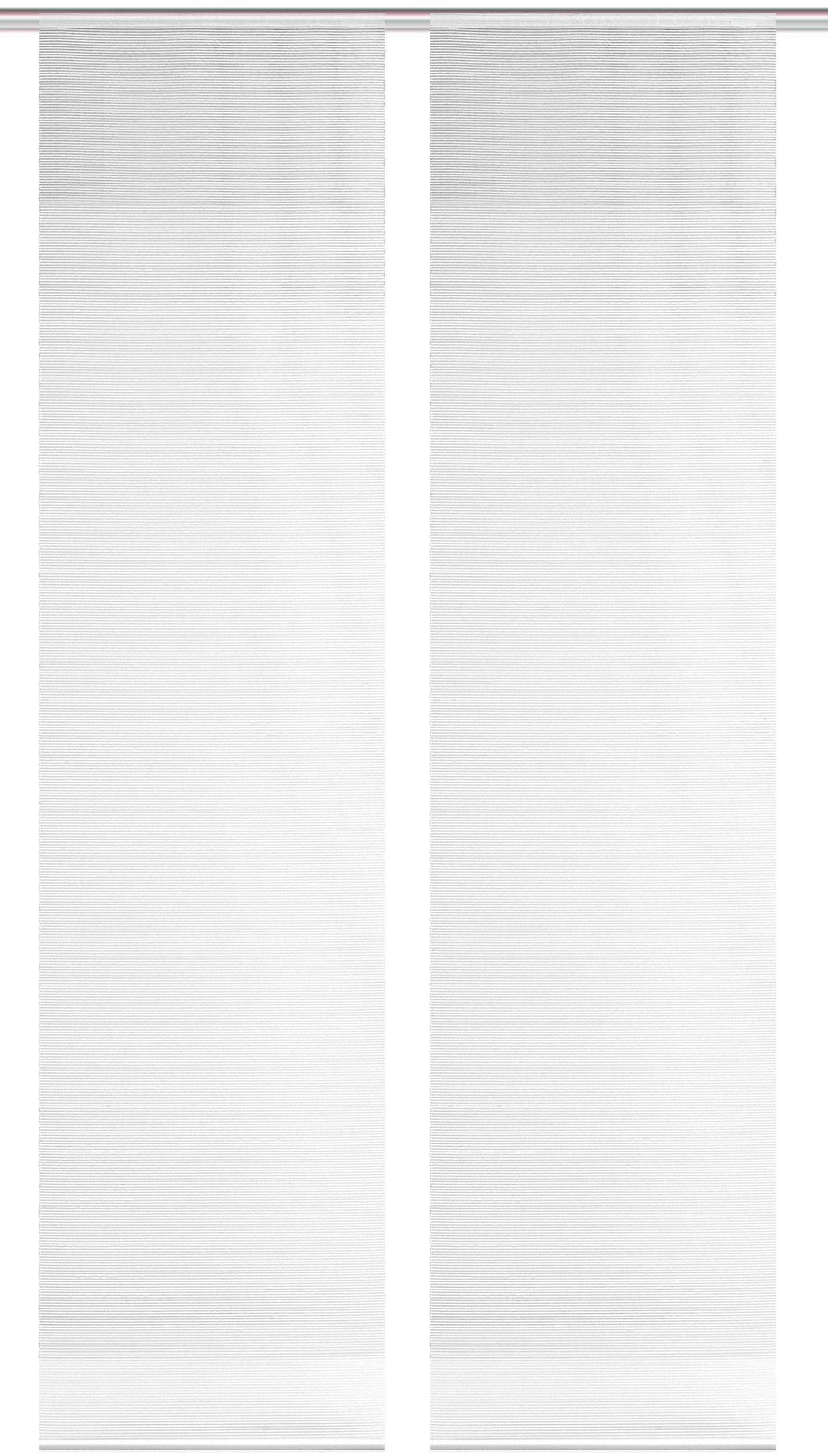 Vision S Schiebegardine »2ER SET ROM« Paneelwagen 2 Stk. tlg. HxB: 260x60, Schiebevorhang 2er Set Uni