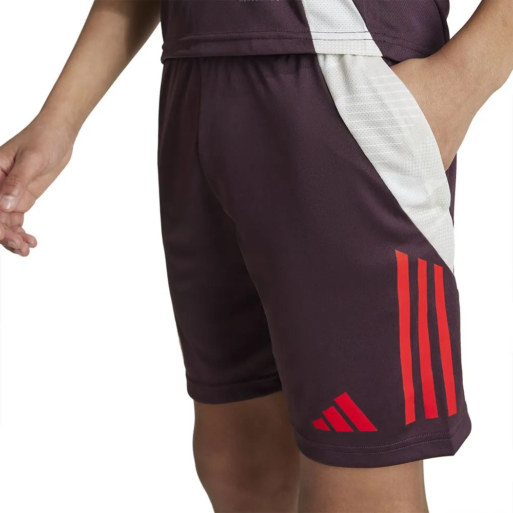 adidas FC Bayern Munich 24/25 Training Junior-Shorts