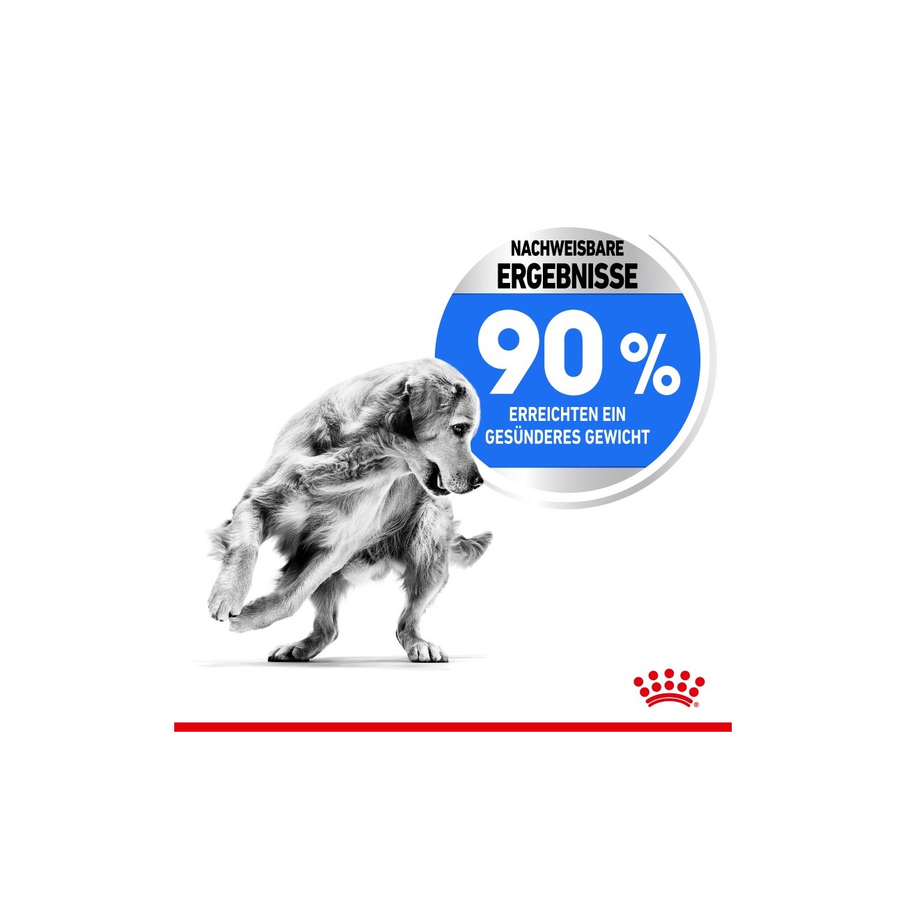 ROYAL CANIN Light Weight Care Maxi 12 kg