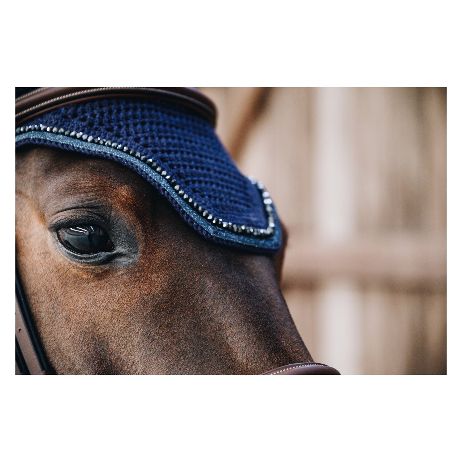 KENTUCKY Fliegenohren Wellington Glitter - dunkelblau - Warmblut
