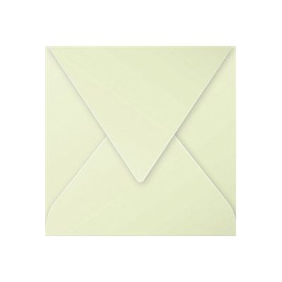 Pollen - 20 Enveloppes - 140 x 140 mm - 120 g/m² - vert bourgeon