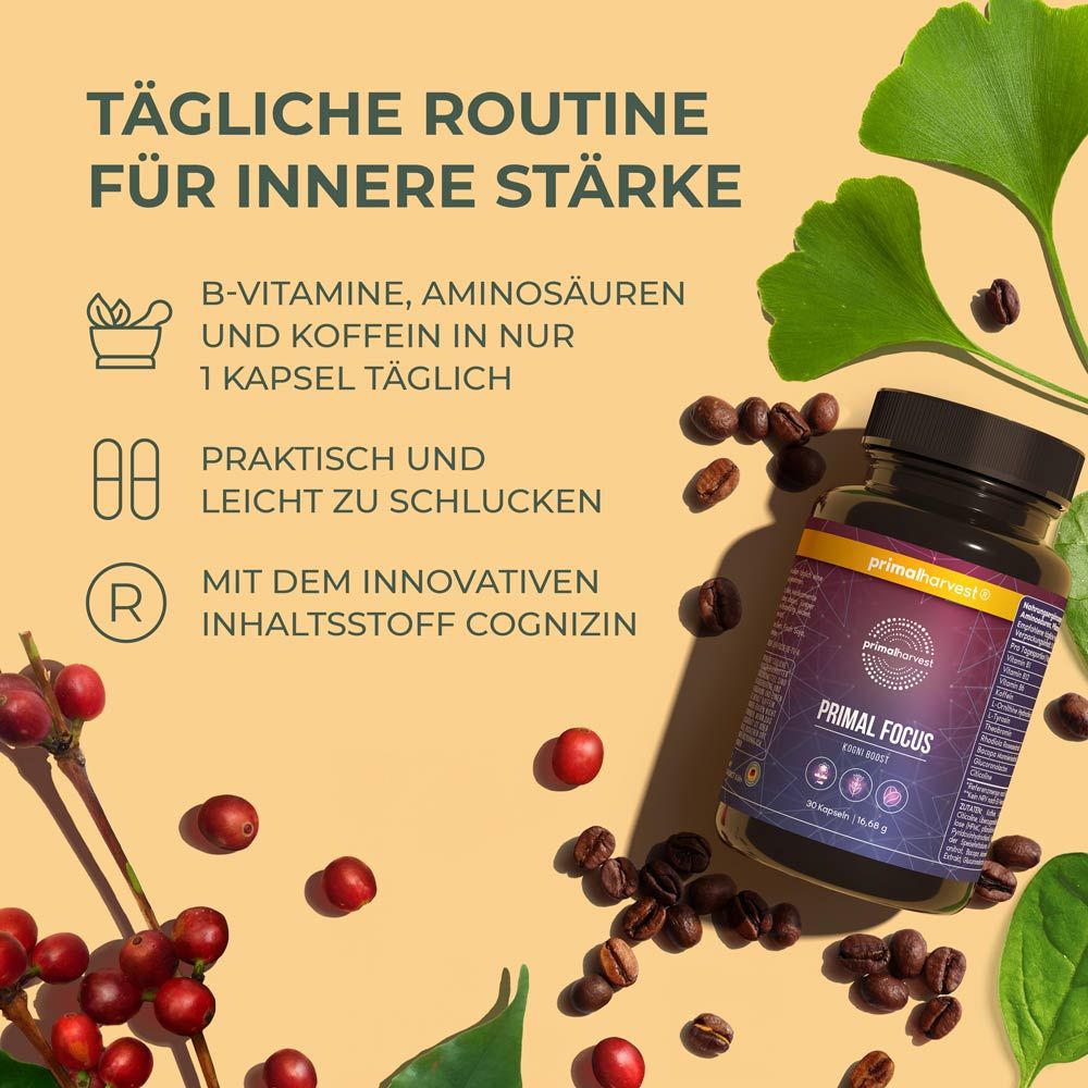 Primal Focus Kogni Boost von Primal Harvest®