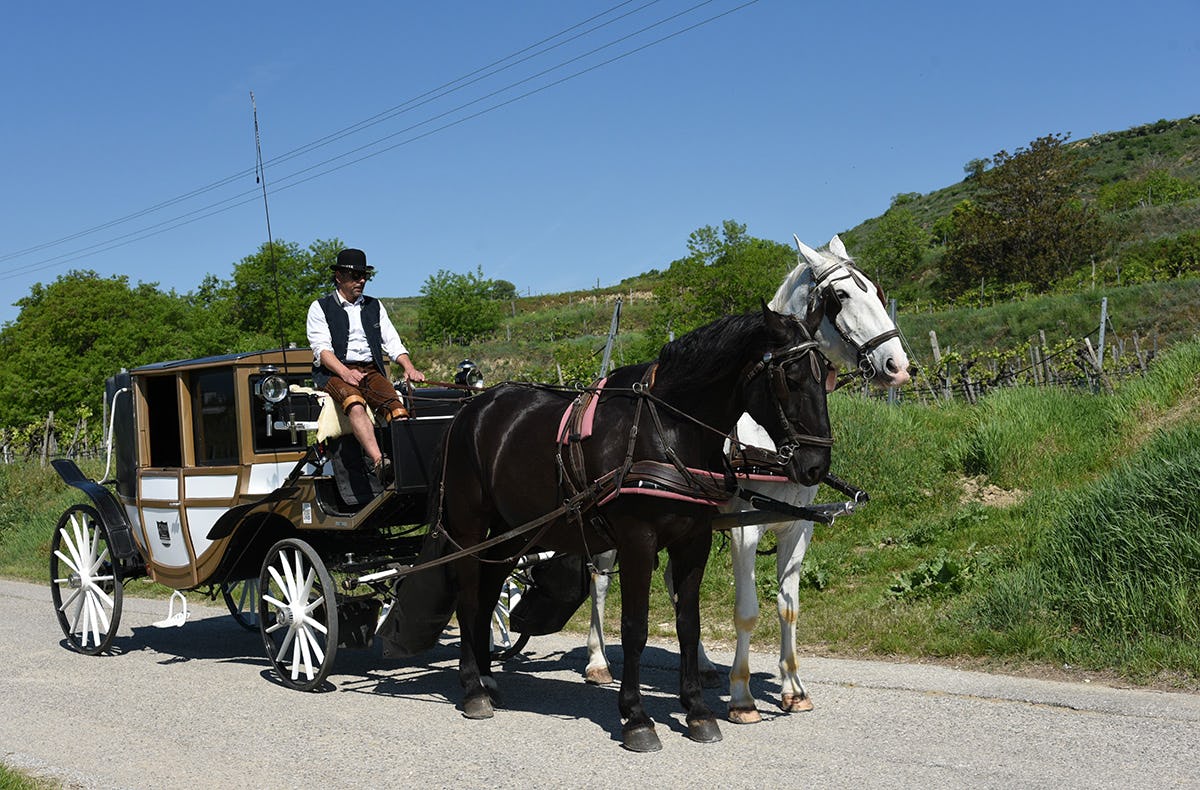 Kutschfahrt Krems an der Donau