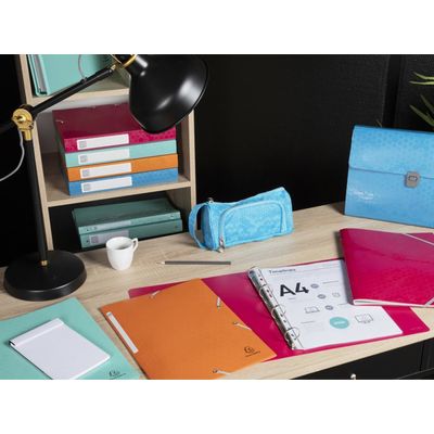 Exacompta MAÏA - Classeur à levier - Dos 80 mm - A4 - pour 760 feuilles - disponible dans différentes couleurs