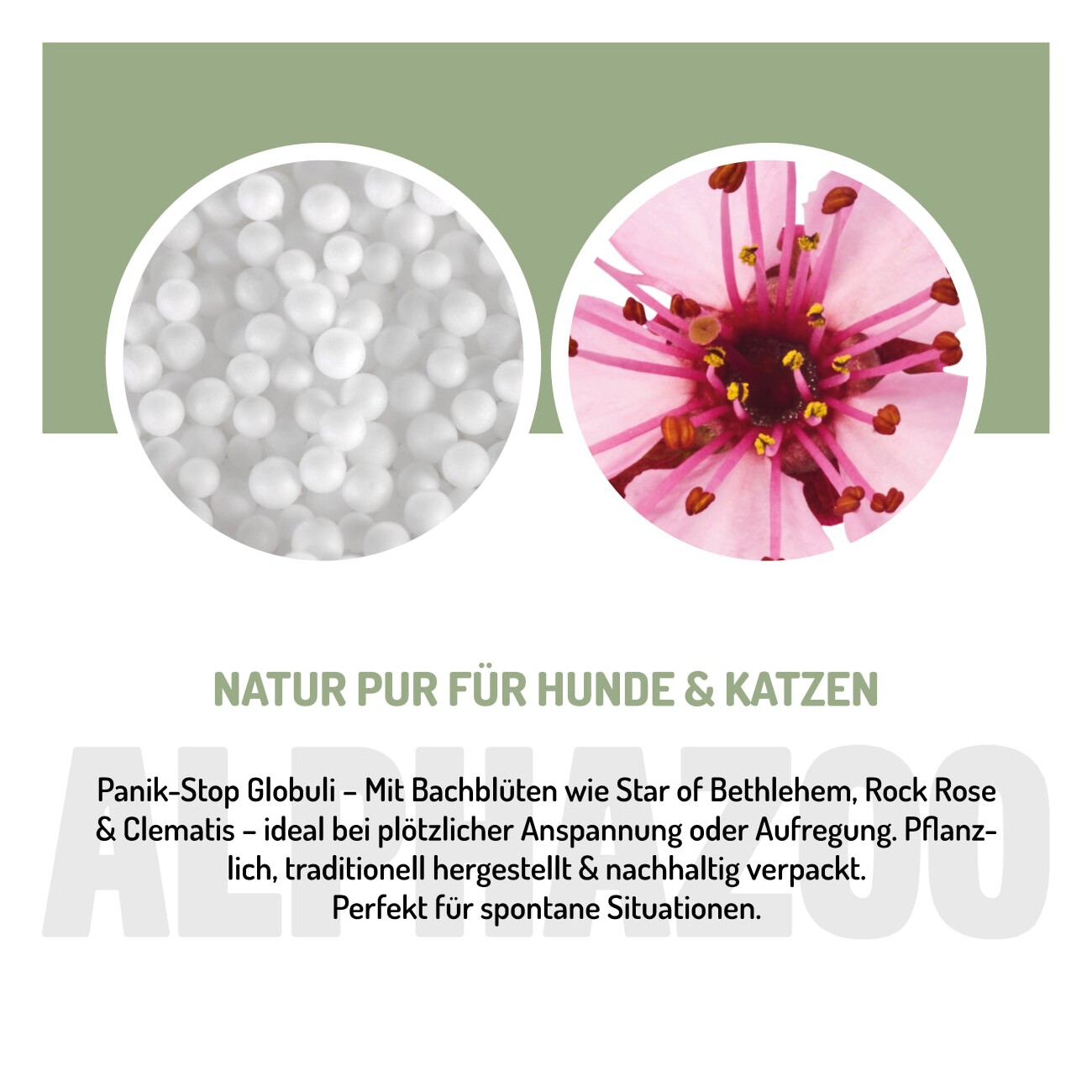 ALPHAZOO Panik-Stop Bachblüten, Globuli für Hunde und Katzen