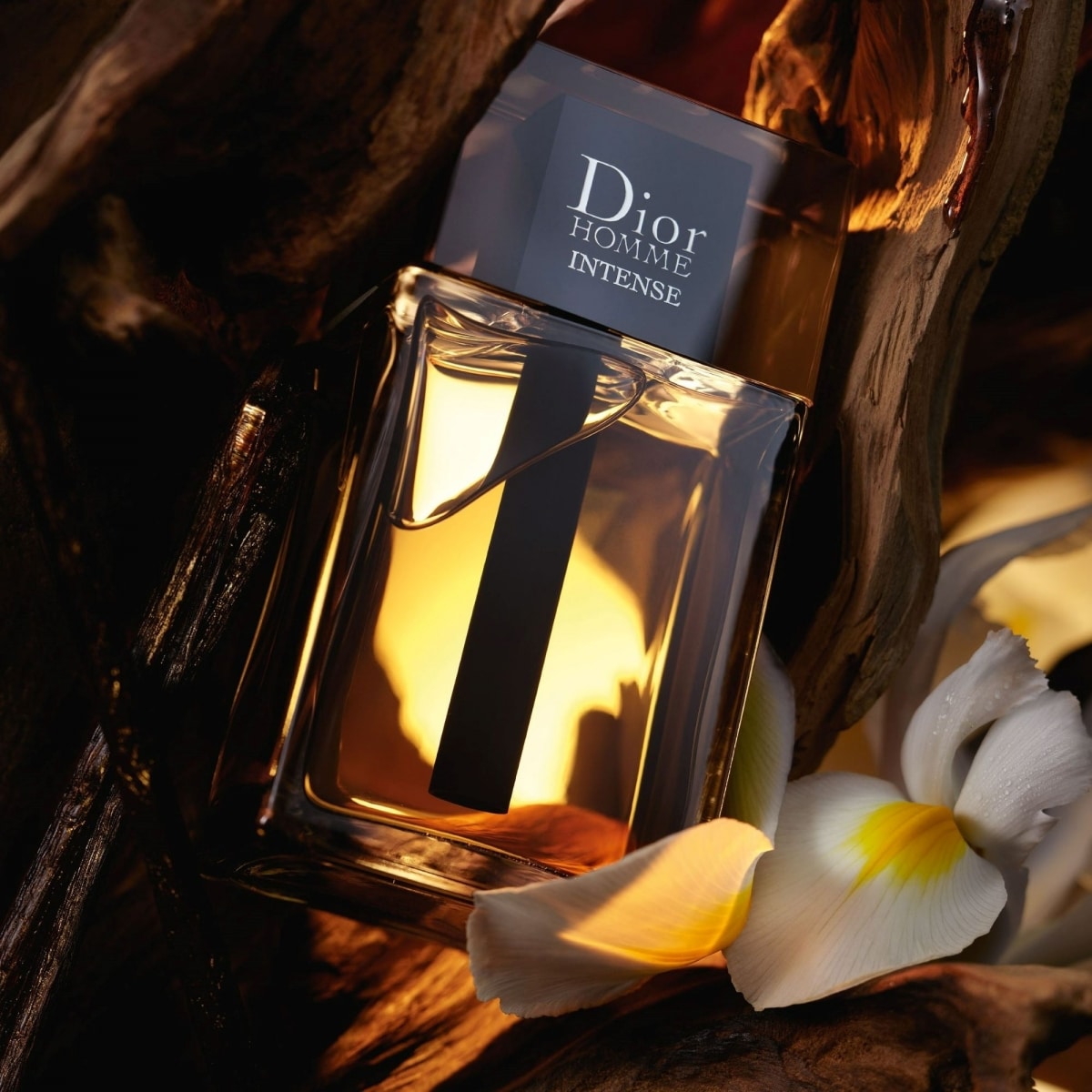 Dior Homme Intense Dior Homme Intense Eau de Parfum