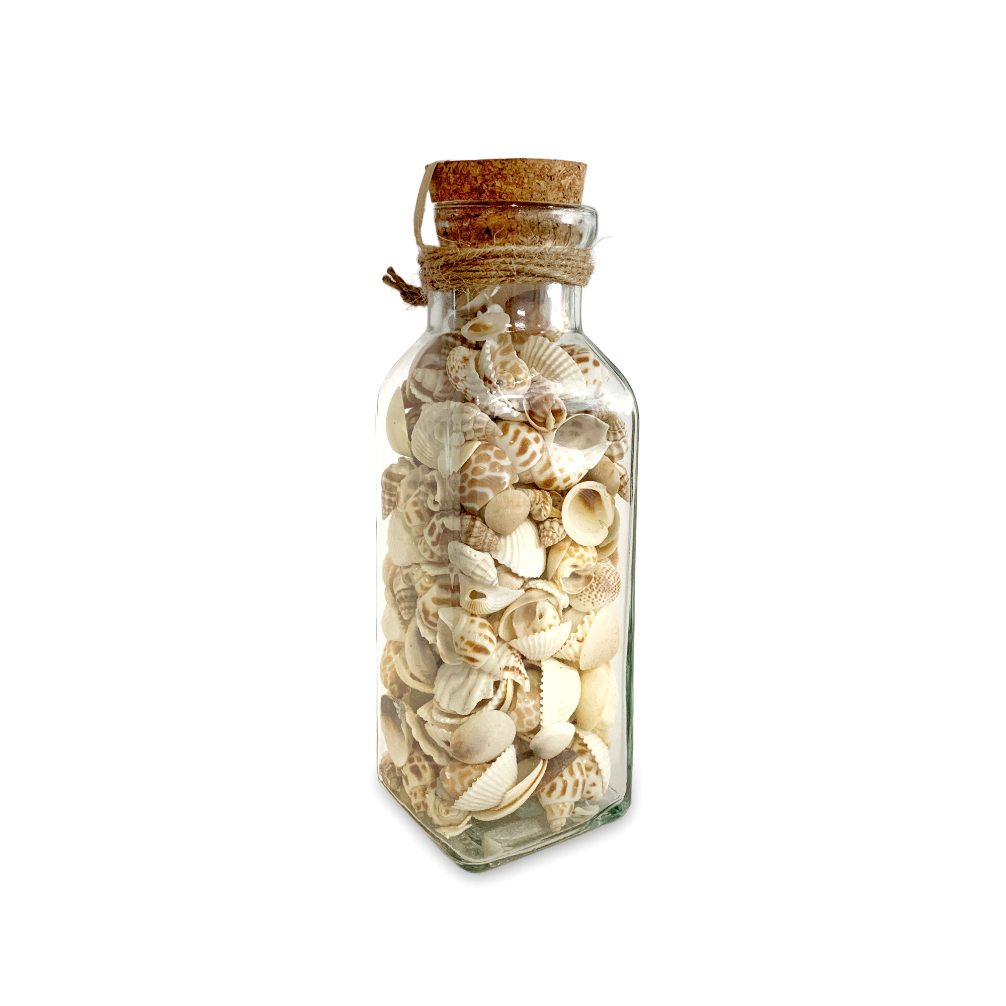 Muscheln & Schnecken im Glas, H 18 cm, B 6 cm, L 6 cm von fischer's lagerhaus