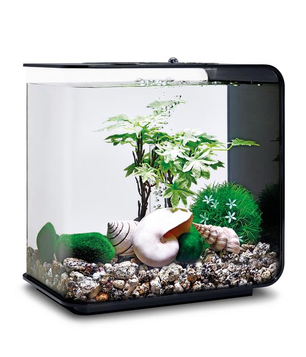biOrb® Aquariumdeko Decor Set 15 l Sommer