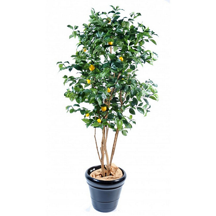Citrus artificiel h.140 cm