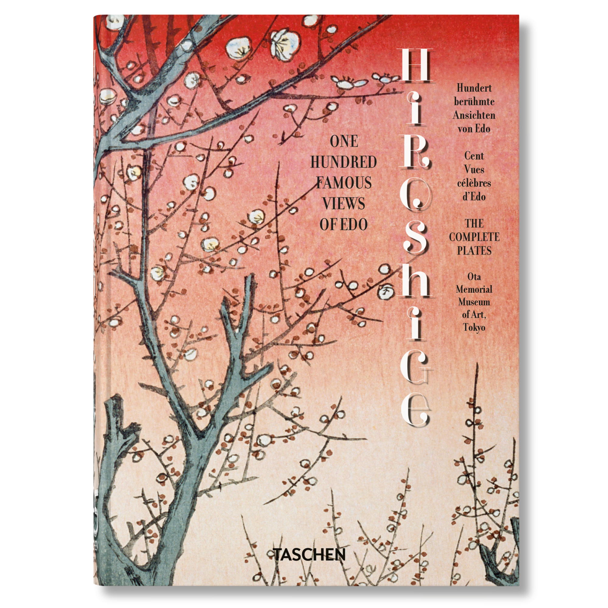 Hiroshige One Hundred Famous Views of Edo 45